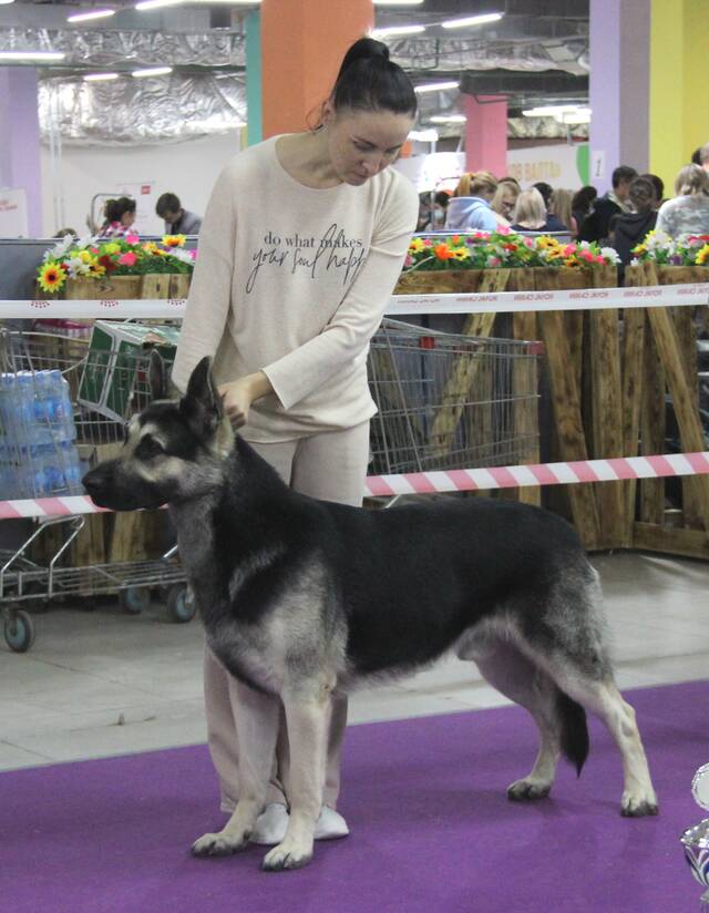 http://upforme.ru/uploads/000b/fb/4c/6/95313.jpg