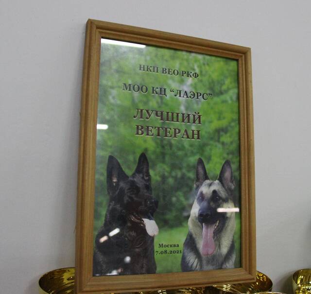 http://upforme.ru/uploads/000b/fb/4c/6/958696.jpg