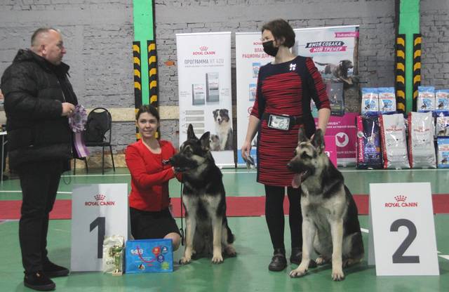 http://upforme.ru/uploads/000b/fb/4c/6/960789.jpg