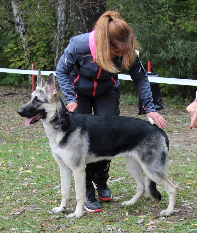 http://upforme.ru/uploads/000b/fb/4c/6/975500.jpg
