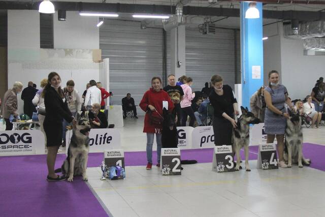 http://upforme.ru/uploads/000b/fb/4c/6/977275.jpg