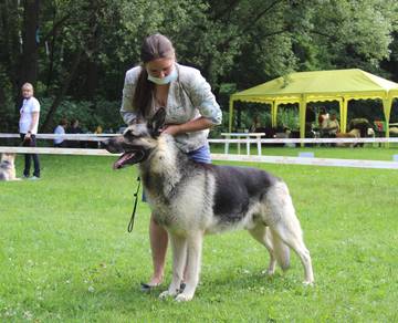 http://upforme.ru/uploads/000b/fb/4c/6/t322344.jpg