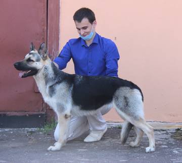 http://upforme.ru/uploads/000b/fb/4c/6/t389317.jpg