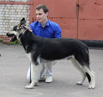 http://upforme.ru/uploads/000b/fb/4c/6/t444272.jpg
