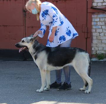 http://upforme.ru/uploads/000b/fb/4c/6/t486842.jpg