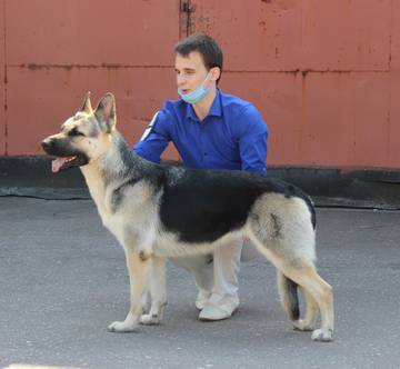 http://upforme.ru/uploads/000b/fb/4c/6/t596725.jpg