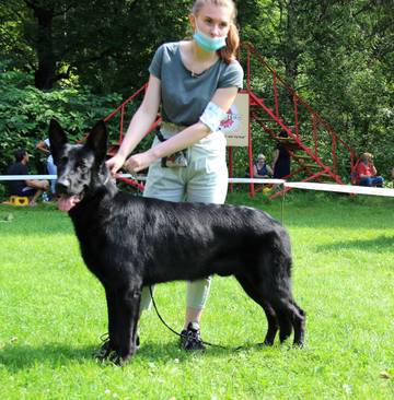 http://upforme.ru/uploads/000b/fb/4c/6/t699200.jpg