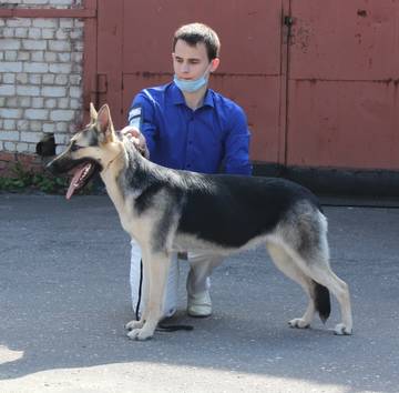 http://upforme.ru/uploads/000b/fb/4c/6/t738076.jpg