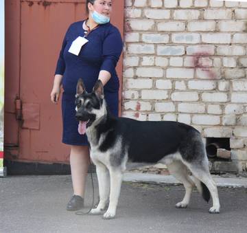 http://upforme.ru/uploads/000b/fb/4c/6/t781548.jpg