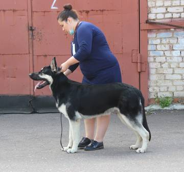 http://upforme.ru/uploads/000b/fb/4c/6/t794722.jpg