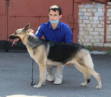 http://upforme.ru/uploads/000b/fb/4c/6/t808089.jpg