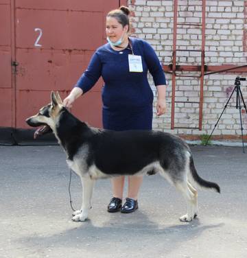 http://upforme.ru/uploads/000b/fb/4c/6/t902782.jpg