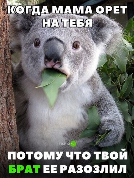 http://upforme.ru/uploads/000c/2c/58/3/744759.jpg