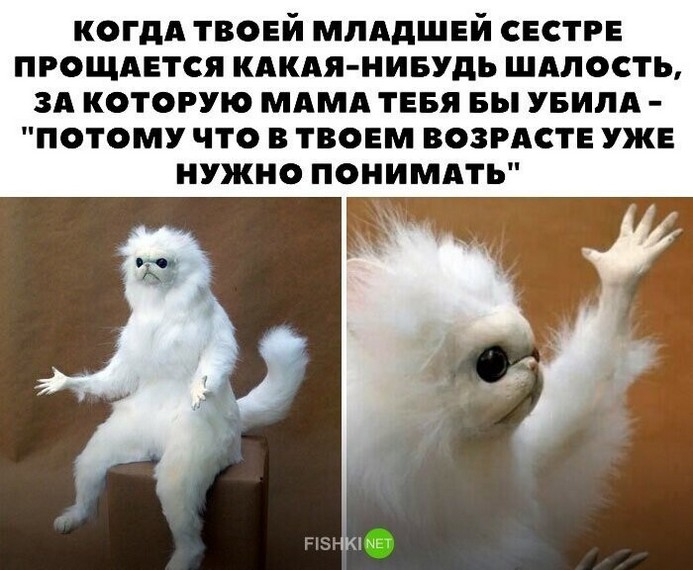 http://upforme.ru/uploads/000c/2c/58/3/898659.jpg