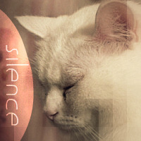 http://upforme.ru/uploads/000c/30/03/511-1.jpg