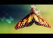 http://upforme.ru/uploads/000c/30/03/562-1.jpg