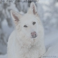 http://upforme.ru/uploads/000c/30/03/910-2.jpg