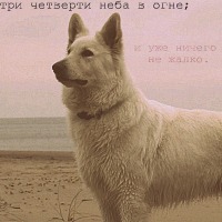 http://upforme.ru/uploads/000c/30/03/910-3.jpg