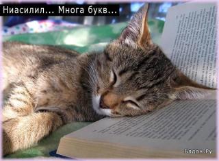 http://upforme.ru/uploads/000c/30/db/115-2.jpg