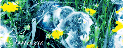 http://upforme.ru/uploads/000c/30/db/217-1-f.png