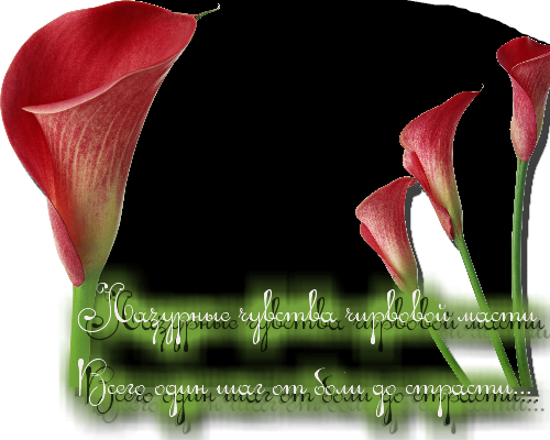 http://upforme.ru/uploads/000c/3f/1e/720-1-f.png