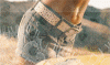 http://upforme.ru/uploads/000c/3f/4f/207-1.gif
