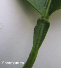 http://upforme.ru/uploads/000c/40/7e/103-2.jpg