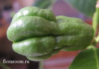 http://upforme.ru/uploads/000c/40/7e/107-5.jpg