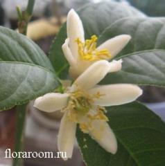 http://upforme.ru/uploads/000c/40/7e/108-2.jpg