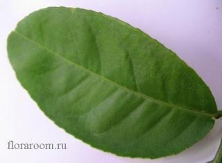 http://upforme.ru/uploads/000c/40/7e/111-4.jpg