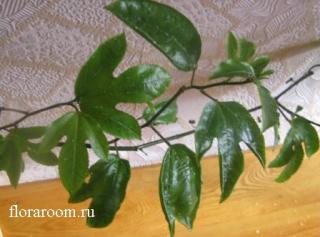 http://upforme.ru/uploads/000c/40/7e/151-2.jpg