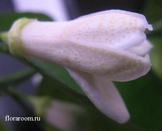 http://upforme.ru/uploads/000c/40/7e/63-2.jpg