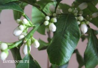 http://upforme.ru/uploads/000c/40/7e/69-3.jpg