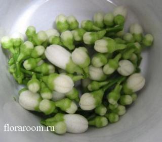 http://upforme.ru/uploads/000c/40/7e/71-4.jpg
