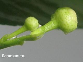 http://upforme.ru/uploads/000c/40/7e/72-1.jpg
