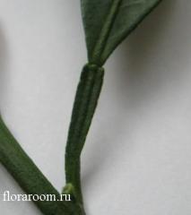 http://upforme.ru/uploads/000c/40/7e/75-2.jpg