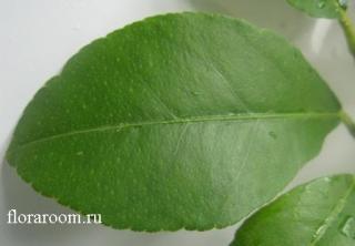 http://upforme.ru/uploads/000c/40/7e/82-2.jpg