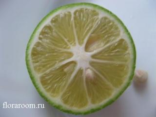 http://upforme.ru/uploads/000c/40/7e/83-3.jpg