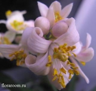 http://upforme.ru/uploads/000c/40/7e/85-1.jpg
