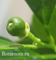 http://upforme.ru/uploads/000c/40/7e/89-2.jpg