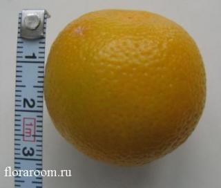 http://upforme.ru/uploads/000c/40/7e/89-3.jpg