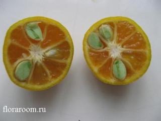 http://upforme.ru/uploads/000c/40/7e/89-5.jpg