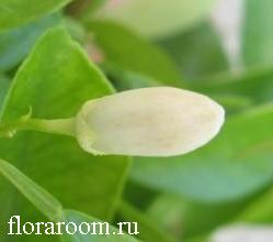 http://upforme.ru/uploads/000c/40/7e/90-2.jpg