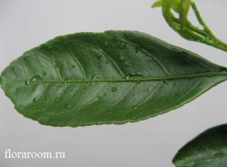 http://upforme.ru/uploads/000c/40/7e/93-2.jpg