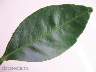 http://upforme.ru/uploads/000c/40/7e/96-1.jpg