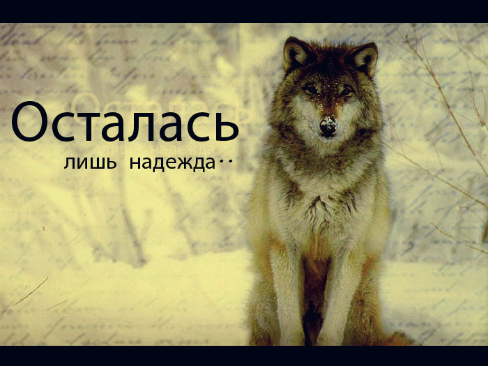 http://upforme.ru/uploads/000c/44/84/55401-2-f.jpg
