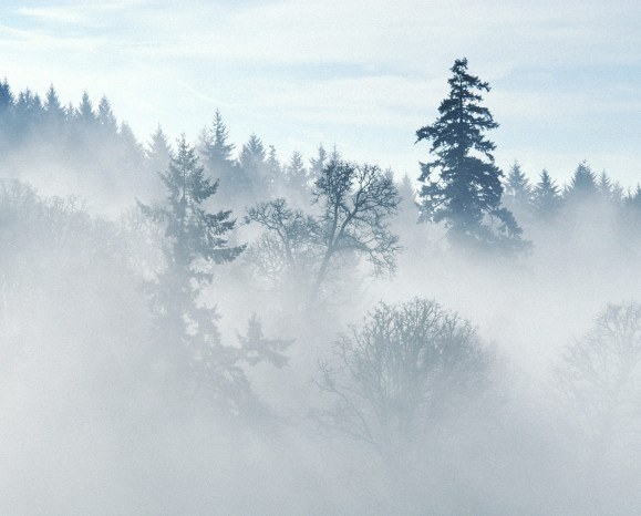 http://upforme.ru/uploads/000c/4d/ec/38-1-f.jpg