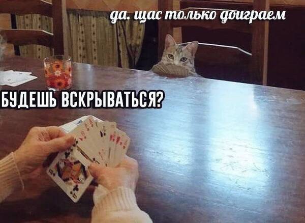 http://upforme.ru/uploads/000c/58/20/3/t43032.jpg