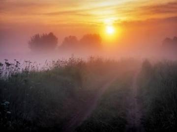 http://upforme.ru/uploads/000c/62/3c/8/t11816.jpg