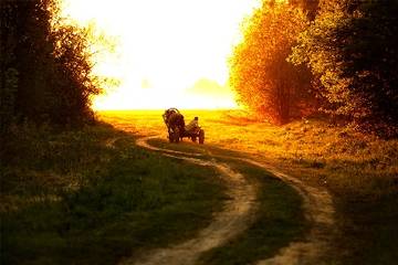 http://upforme.ru/uploads/000c/62/3c/8/t28110.jpg
